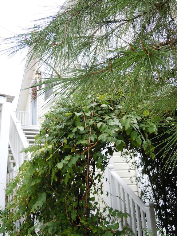 Carriage House Fredericksburg B&B 외부 사진